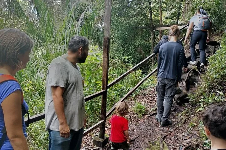 A group of people hiking on a forest trail with a wooden handrail.